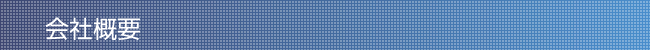 ЊTv